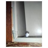 Wood & Glass Display Case