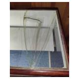 Lighted Wood & Glass Display Case