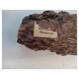 Wooden Plane, Carved Candle Holder & Mosquito