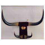 Mounted Bull Horns
