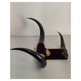 Mounted Bull Horns
