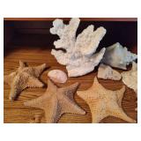 Lot of Shells, Starfish & Beach Decor