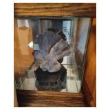 Lot of Shells, Starfish & Beach Decor