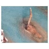 Department 56 "Mill Creek Pond"