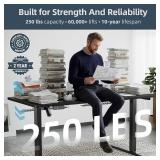 DeskShow Electric Standing Adjustable Desk