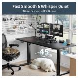 DeskShow Electric Standing Adjustable Desk