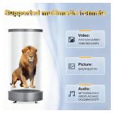 WeADS 3D Hologram Projector Fan