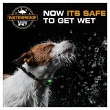 Invirox Dog Training Collar