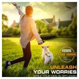 Invirox Dog Training Collar