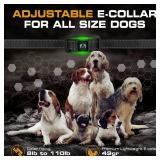Invirox Dog Training Collar