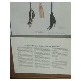 Beautiful Framed Print Spider.Blackfeet Indian Song and Dance Man 27" X  32"