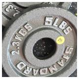 Standard 5lb. Steel Plate Set