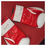 9 Round Boxing Gloves