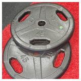 45lb. Plate Set