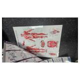 Exercise Instruction Posters