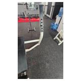 Cybex Fixed Incline Bench