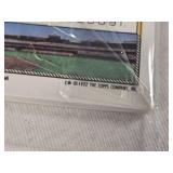 Unopened Gold Winner Pack 1992 Topps