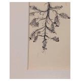 LL - Framed Print 17 x 21 in - Plant Motif Figure Illustration