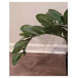 LL - ZZ Plant - Faux Indoor Plant in Black Ribbed Pot, 22 in Tall