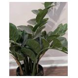 LL - ZZ Plant - Faux Indoor Plant in Black Ribbed Pot, 22 in Tall