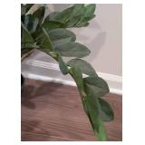 LL - ZZ Plant - Faux Indoor Plant in Black Ribbed Pot, 22 in Tall