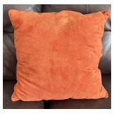 LR - Pair of Pretty Orange Accent Pillows