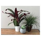 BR1 - Artificial Plant Trio - Faux Greenery