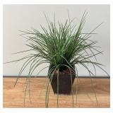 BR1 - Artificial Plant Trio - Faux Greenery