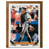 K - Baseball Card Lot - Randy Ready; Craig Colbert; Cal Ripken Jr.; Barry Bonds; Nomar Garciaparra; Mike Piazza