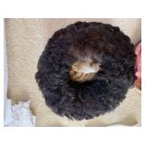 Ladies and children clothing with m...