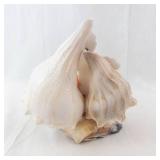 Padre Island Shell Diorama with Cross & Peach Flowers - Seashell Beach Decor