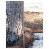 Betsy Ross 13-Star Flag - Circle of Stars on Blue Canton, 13 Stripes (NO SHIPPING)