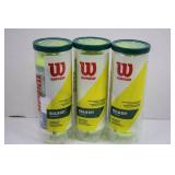 Wilson Championship Regular Duty Tennis Balls (Lot of 3)