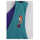 Champion Charlotte Hornets NBA Jersey XL - Teal/Purple