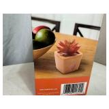New Zendozones Fruit Fly Trap