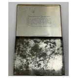 Group Of Misc. Vintage Collectibles Including Water Wings, Dog Collar With 1933 Rabies Tag And More