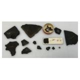 Misc. Fossel Specimens Including Sharks Teeth And More