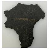 Misc. Fossel Specimens Including Sharks Teeth And More