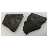 Misc. Fossel Specimens Including Sharks Teeth And More