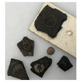 Misc. Fossel Specimens Including Sharks Teeth And More