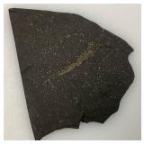 Misc. Fossel Specimens Including Sharks Teeth And More