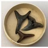 Misc. Fossel Specimens Including Sharks Teeth And More