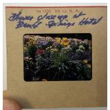 Misc. Vintage Slides Including 1950