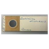 Very Cool Classified Micro Fossil Specimens Slides In Original Wooden Box