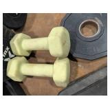 Iron Grip & Hampton Weight Plates with Barbell & Dumbbells - Home Gym Set