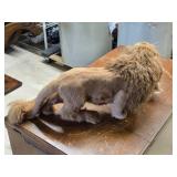 Lion Carrying Cub theme Goat Fur Décor 20" x 8"