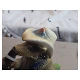 Vintage Texas Armadillo Mascot Drinking Lone Star Beer theme Chalkware Statue