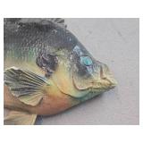 Vintage Sunfish theme Carnival Chalkware Sign / Grain Belt Beer logo