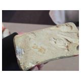 Vintage Lion theme Carnival Chalkware Statue