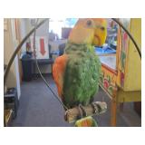 Vintage Parrot on a Branch theme Carnival Chalkware Figurine on a Bronze Colored Stand